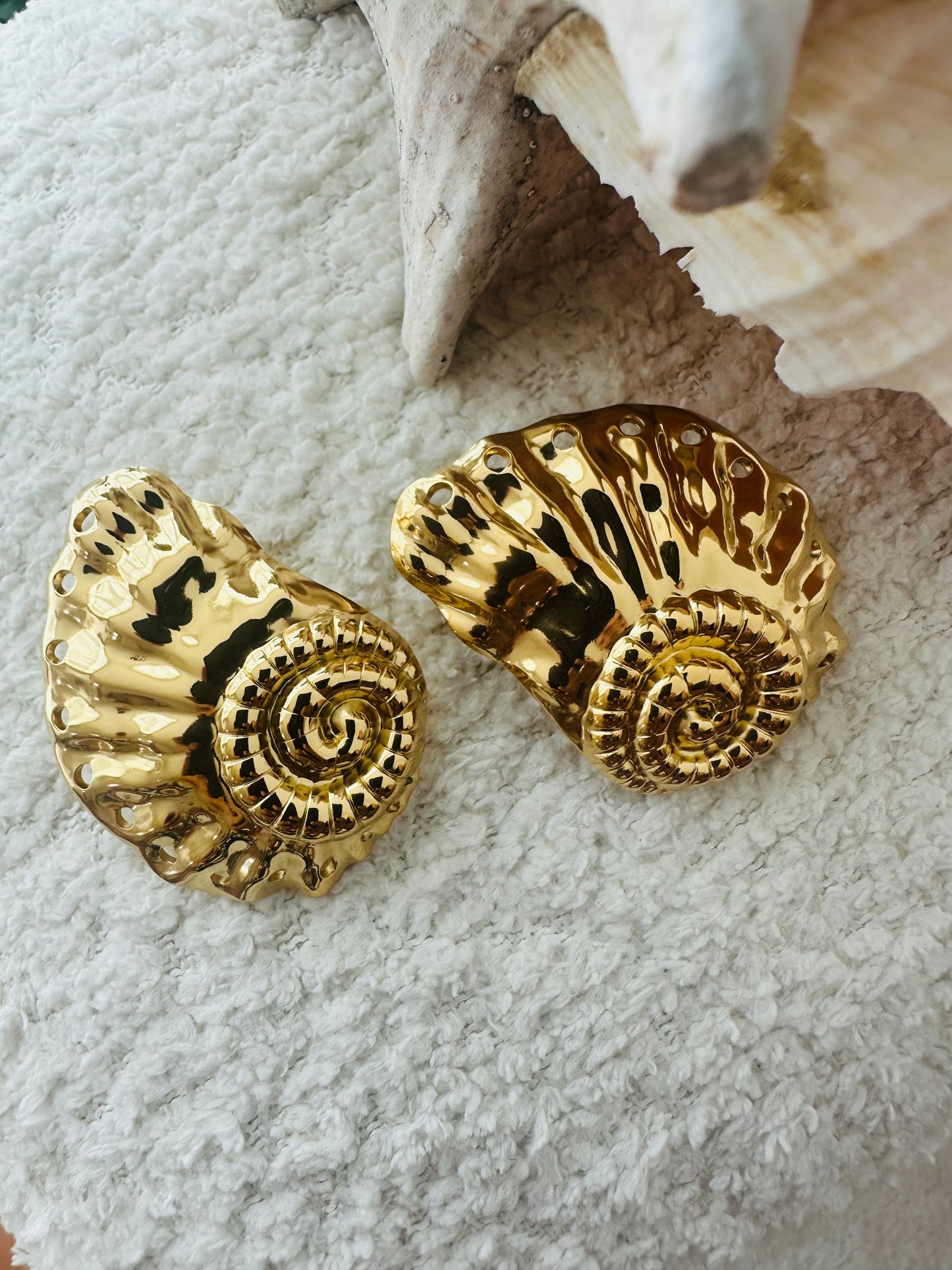 Conch Gold Earrings
