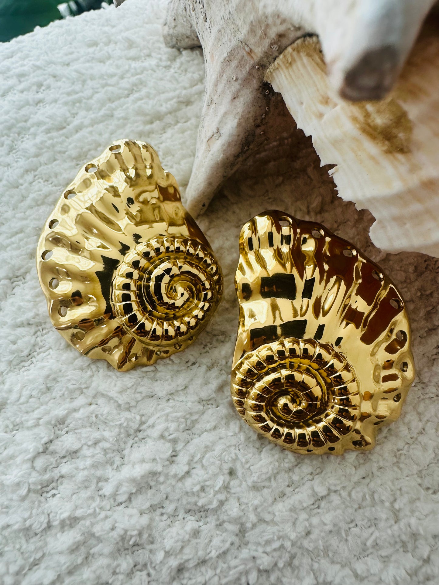 Conch Gold Earrings